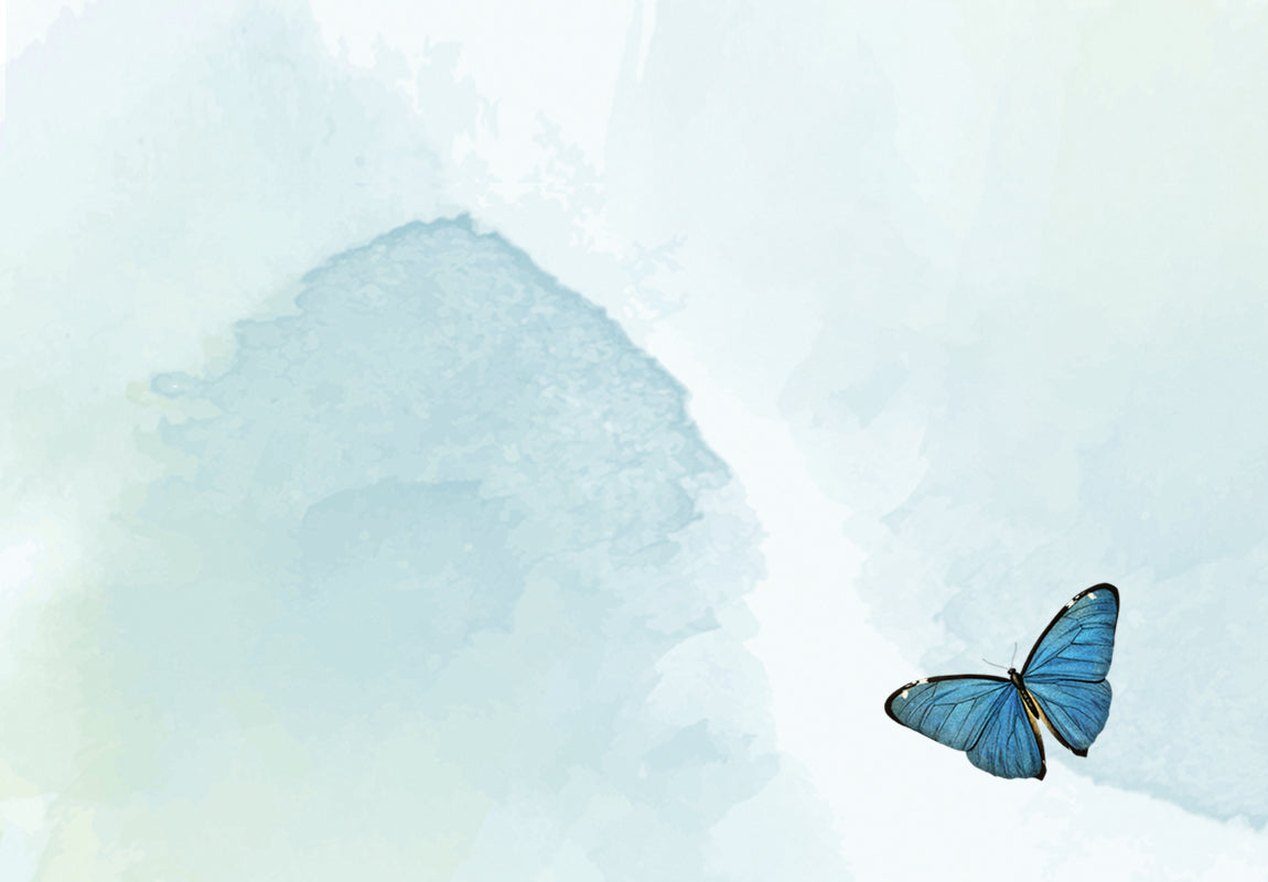 Blue butterfly on a light blue watercolor background